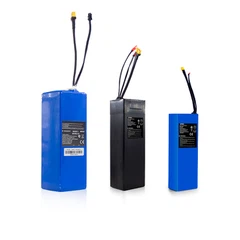 Pin xe tay ga điện